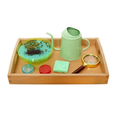 Atelier Sensoriel Scientifique Montessori 🌟 | Exploration des Phénomènes Naturels