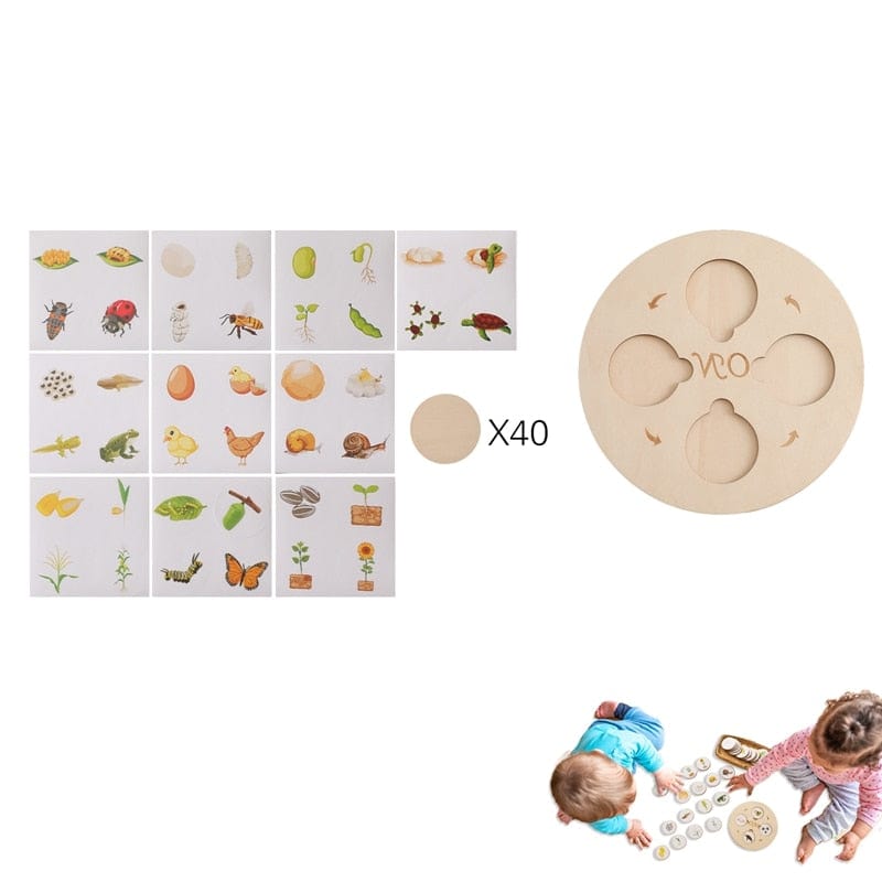 Puzzle en Bois Cycle de la Vie Plantes & Animaux Montessori | Montessori 7 Montessori