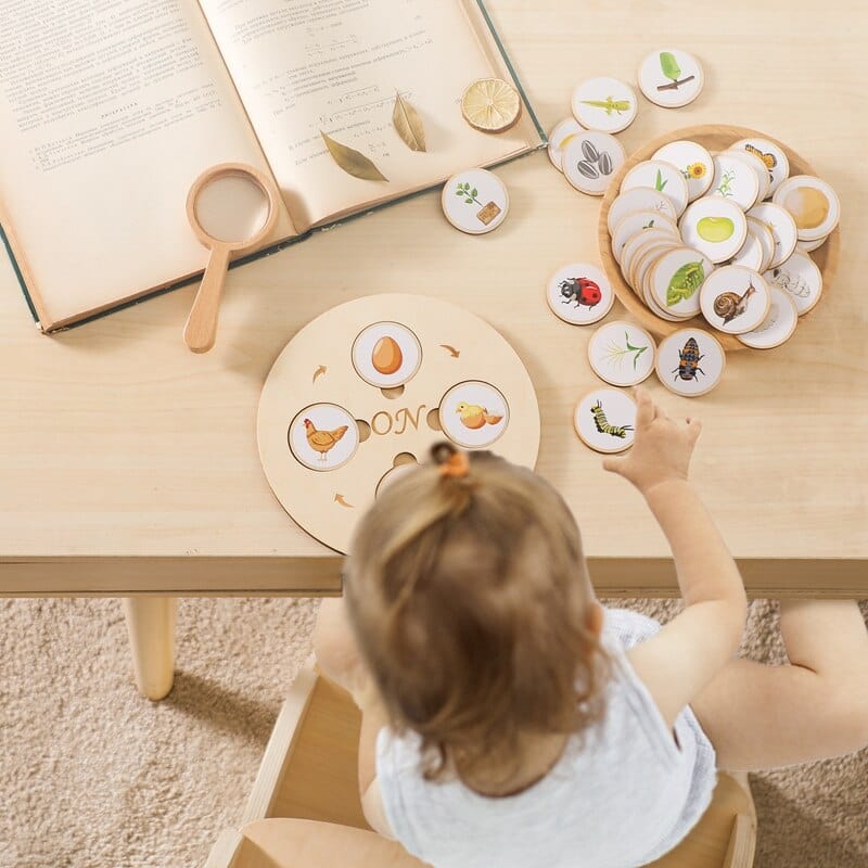 Puzzle en Bois Cycle de la Vie Plantes & Animaux Montessori | Montessori 7 Montessori