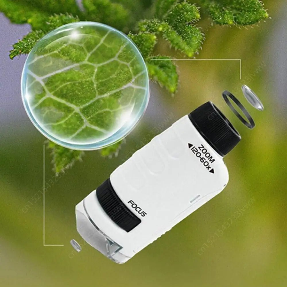 Microscope de Poche Portable pour Enfants 