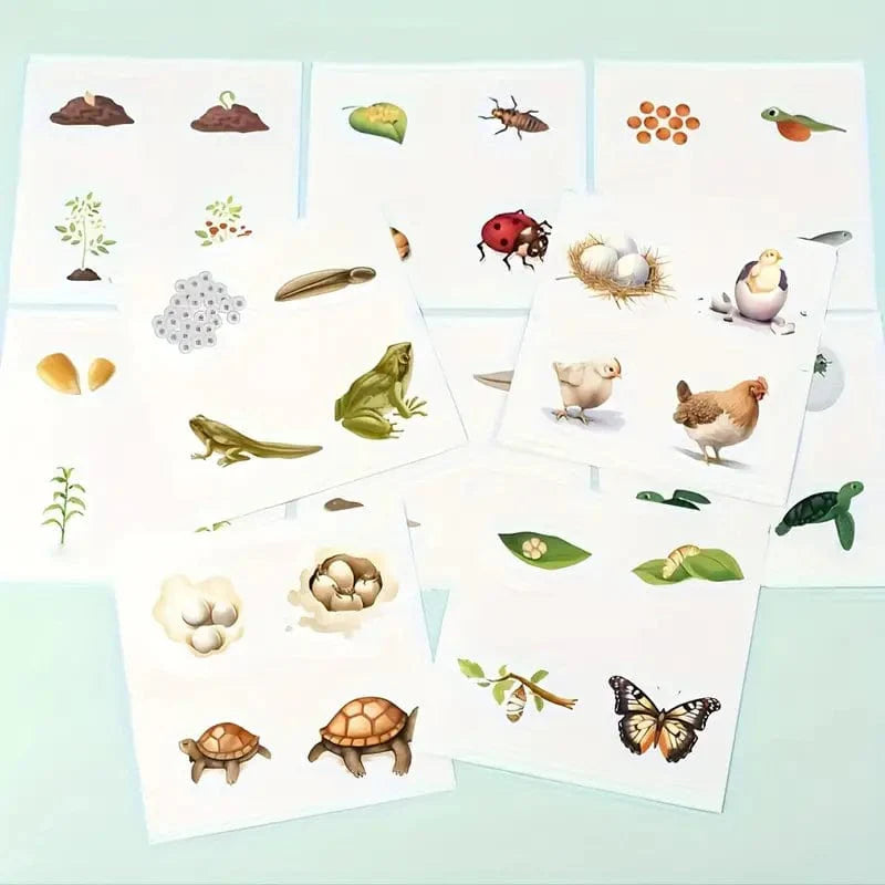 boutique Montessori