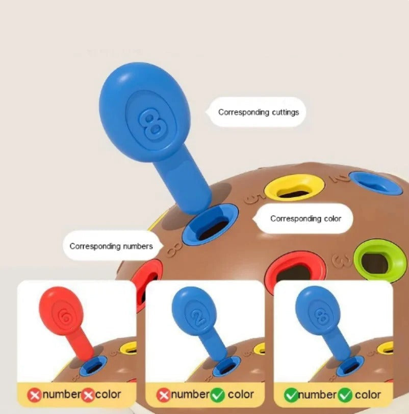 🦔 Jeu Hérisson Montessori | Développement de la Motricité Fine