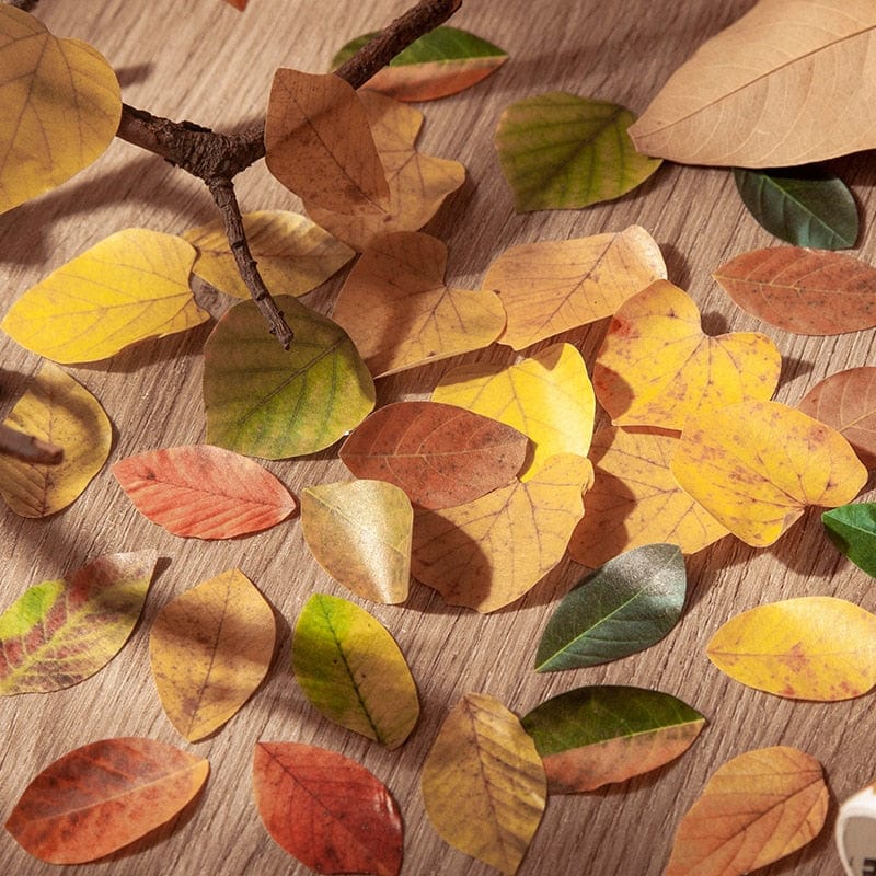 Lot d'autocollants Feuilles d'Automne en Washi Montessori Eco-Friendly | Montezzori Montezzori