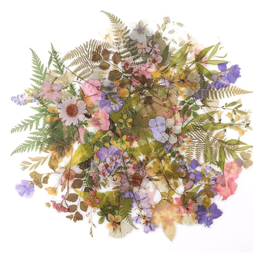 Lot d'Autocollants Floral & Végétal Montessori | Montessori Montessori
