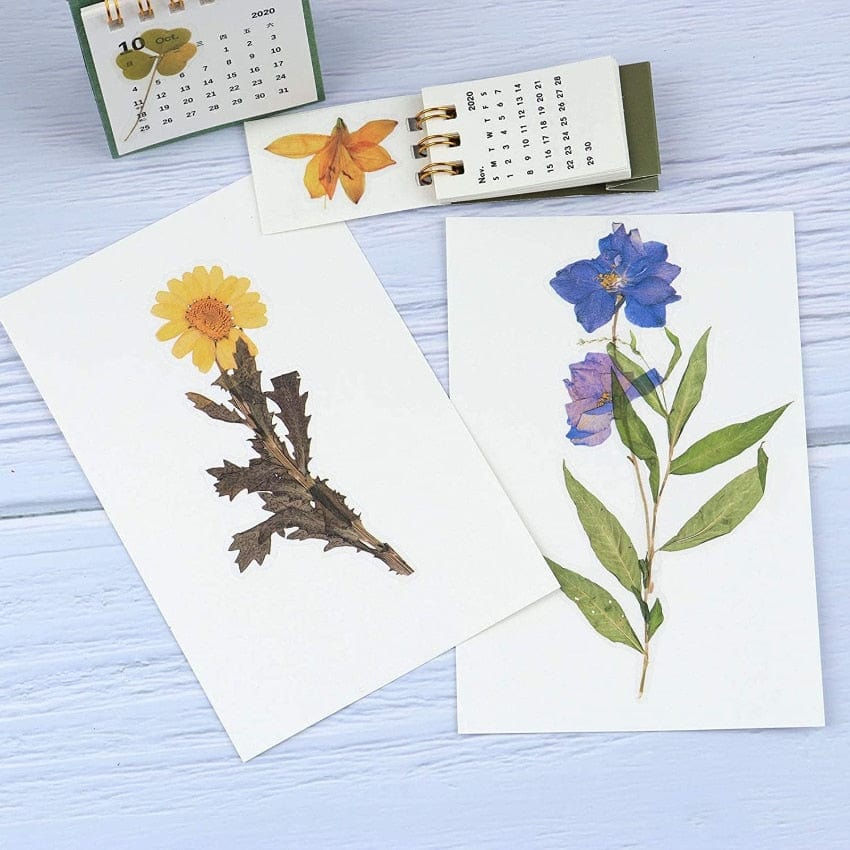 Lot d'Autocollants Floral & Végétal Montessori | Montessori Montessori
