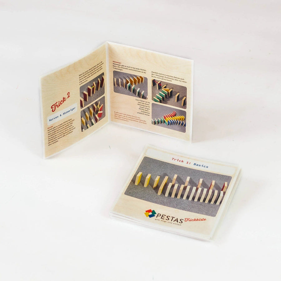 Lot de 24 Astuces Montessori Dominos | Montessori Montessori
