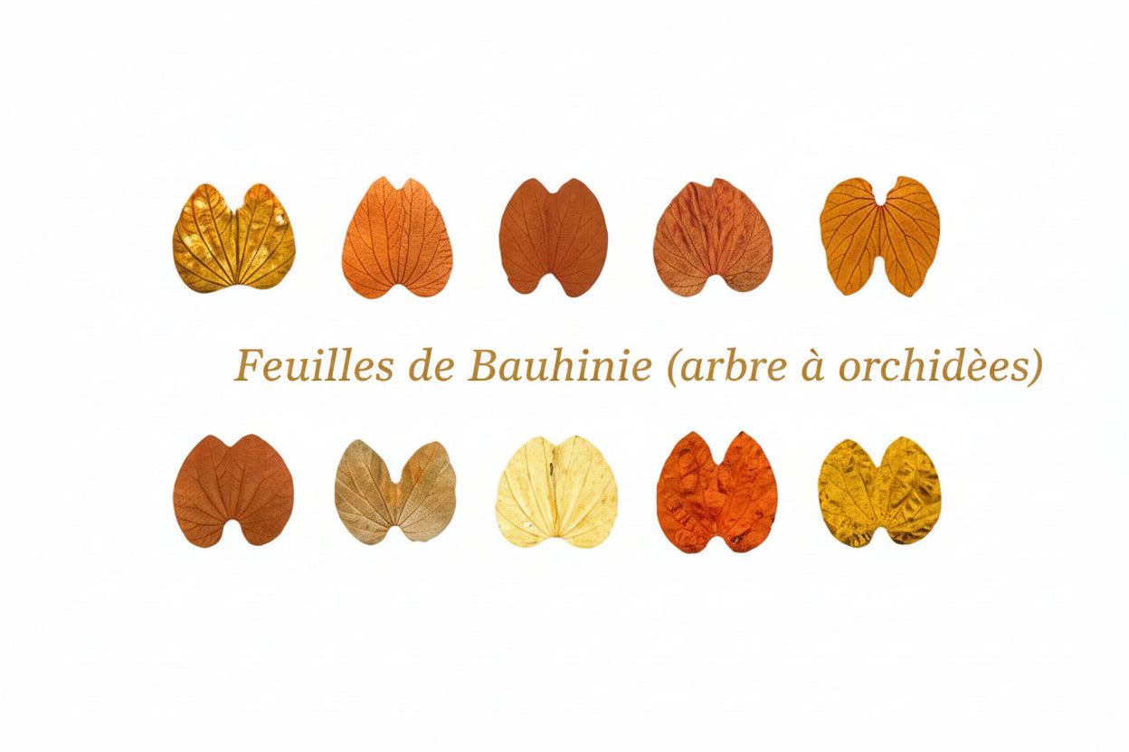 Lot d'autocollants Feuilles d'Automne en Washi Montessori Eco-Friendly