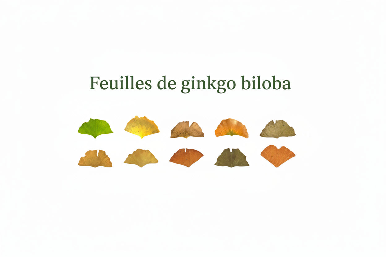 Lot d'autocollants Feuilles d'Automne en Washi Montessori Eco-Friendly