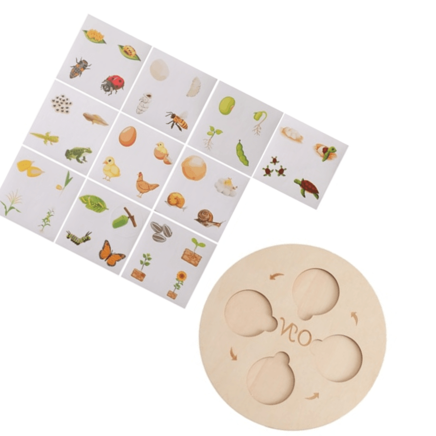 Puzzle en Bois Cycle de la Vie Plantes & Animaux Montessori | Montessori 7 Montessori