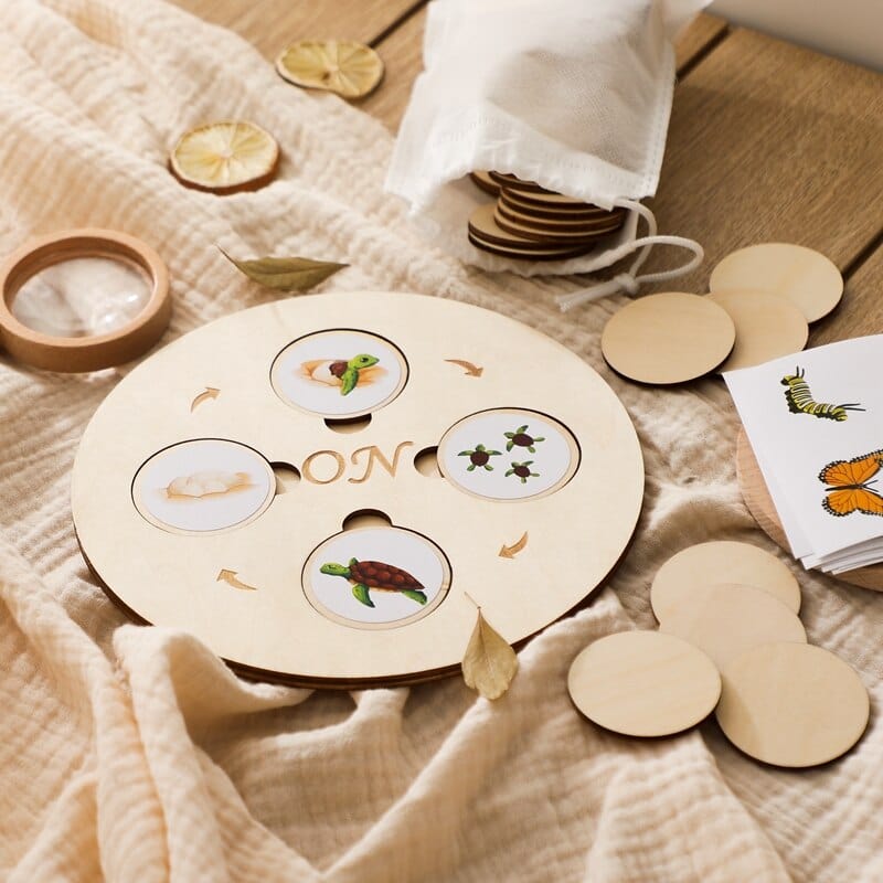 Puzzle en Bois Cycle de la Vie Plantes & Animaux Montessori | Montessori 7 Montessori