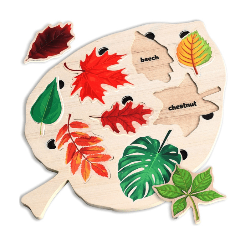 Puzzle en Bois d'Apprentissage Montessori Feuilles | Montessori small size Montessori